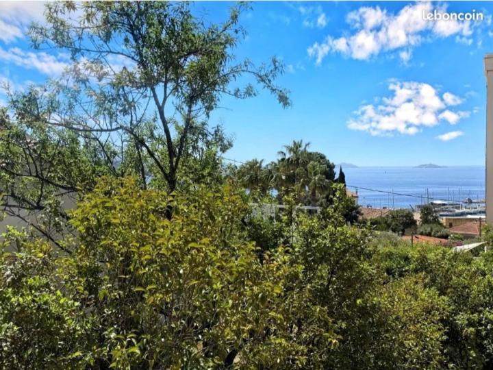 Villa Bandol Proche Du Port Et Des Plages Dış mekan fotoğraf